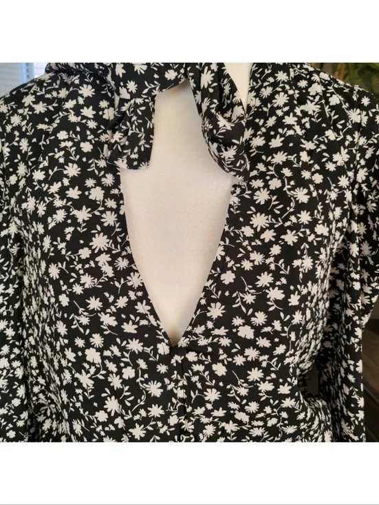 Scoop - Picture 4 of 7